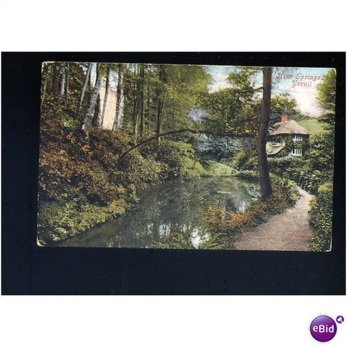 Somerset YEOVIL Nine Springs Postcard by Valentine