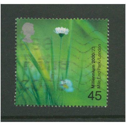 GB 2000 People & Places 45p Daisies Mile End Park Used SG 2150 Sc1912 millennium