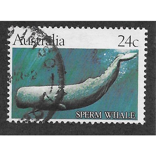 AUS 1981 24c 'WHALES' FINE USED (EBID52-129)