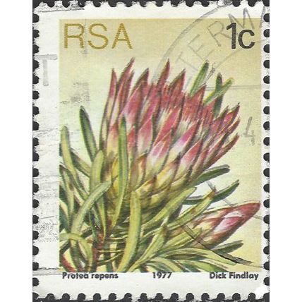 SOUTH AFRICA, FLOWER, Protea repens, yellow 1977, 1c, #6