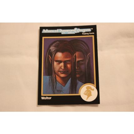 Woltor 1992 TSR 2nd Edition Dungeons & Dragons NO.476