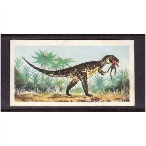 Brook Bond Prehistoric Animals Megalosaurus No 16 Mint