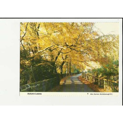 AUTUMN LEAVES Postcard by Women's Institure