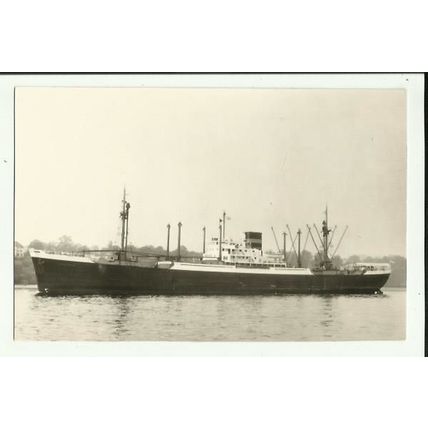 United Netherlands SS Co. MV CELEBES Postcard (Company card)