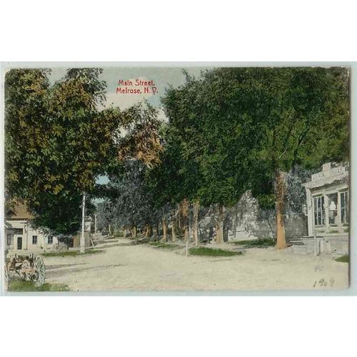 New York Melrose Main St Tree Lined Dirt Roadway w/Old Buildings~295