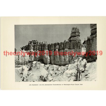 Cathedral, Bryce Canyon Utah, USA, Book Illustration (Print), 1935