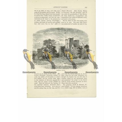 Ludlow Castle, Shropshire, Book Illustration (Print), 1891