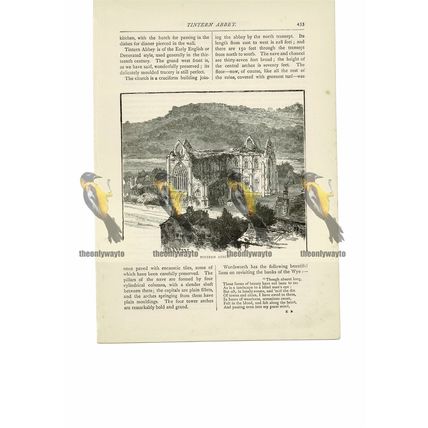 Tintern Abbey, Monmouthshire, Book Illustration (Print), 1891