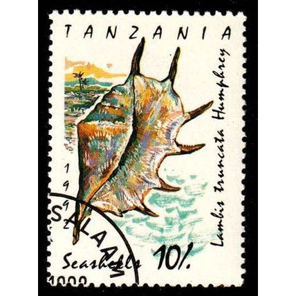 Africa Tanzania 1992 Seashell 10/- Used Stamp