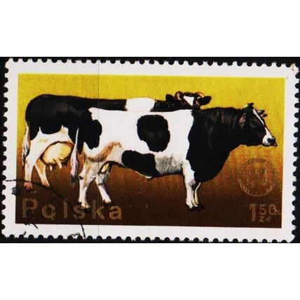 Poland. 1975 1z50 S.G.2367 Used