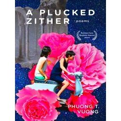 A Plucked Zither
