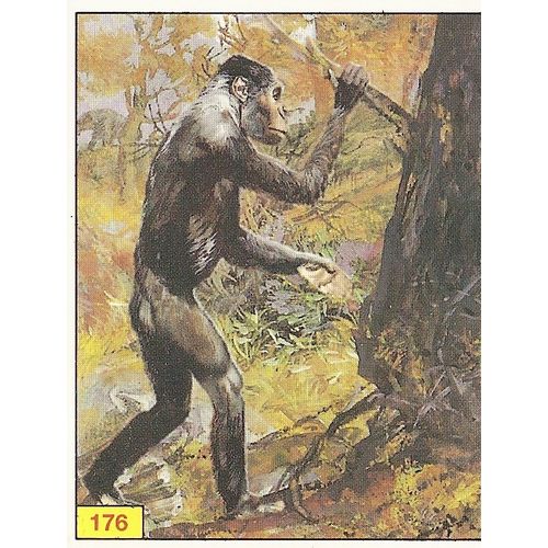 Panini's Dinosaurs Sticker Collection - Sticker No. 176