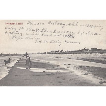 Dog Playing Fetch at Hornbaek Strad Denmark Old Postcard
