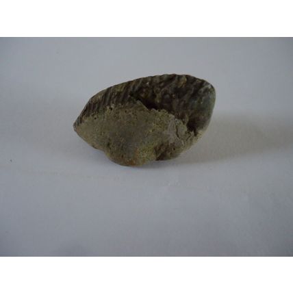 Unique Natural Gratitude Stone/Rock Law of Attraction Positive Thankful 39mm