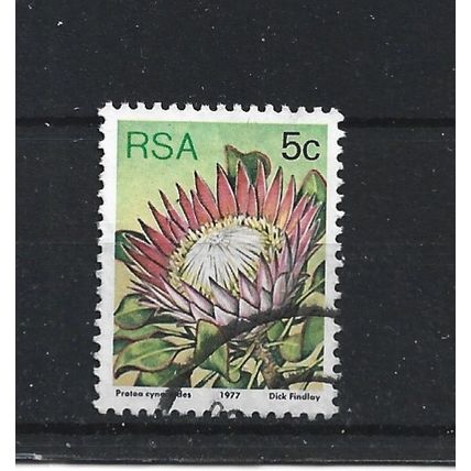 SouthAfrica.SG418 5c Protea Cynaroides.Fine Used.Sep25f