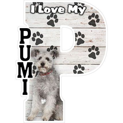 I Love My Pumi Fridge Magnet