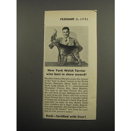 1951 Armour Dash Dog Food Ad - New York Welsh Terrier wins best in show award