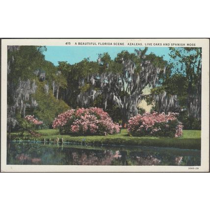 Azaleas, Live Oaks & Spanish Moss, Beautiful Florida Scene, c1930 - Asheville PC