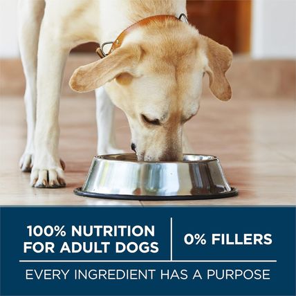 Purina ONE plus Large Breed Adult Dog Food Dry Formula - 40 Lb. Bag
