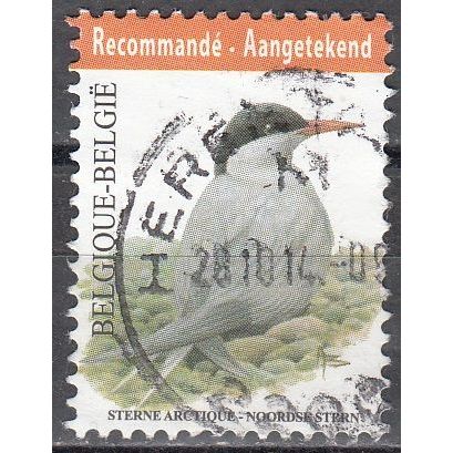 Belgique 2013 COB 4306 O Cote (2016) 2.60 Euro Sterne Arctique Cachet rond