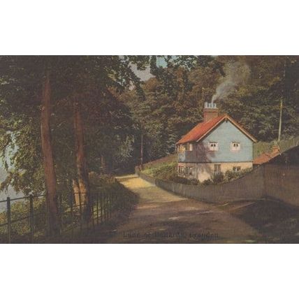 Lane at Ballards Croydon Antique Surrey Postcard