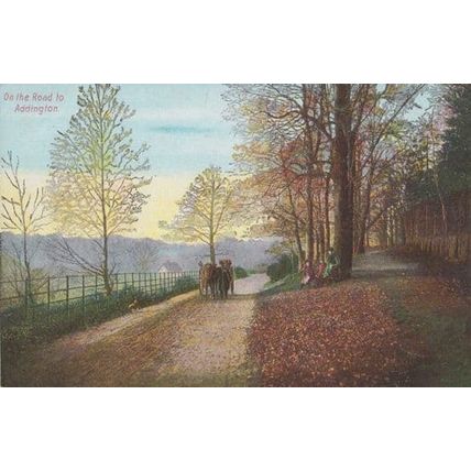 Ladies Watch Horse & Cart On The Road Addington Rare Antique Surrey Postcard