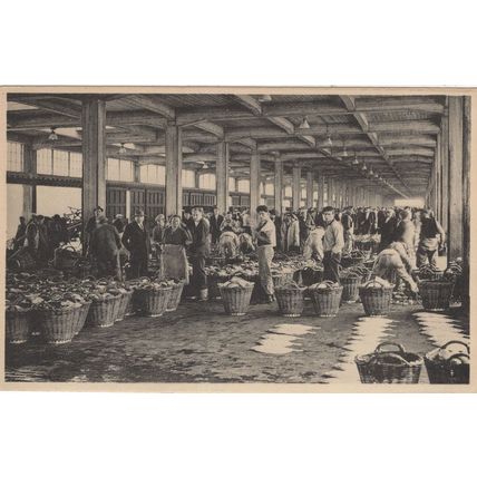 Ostend Fishing Harbour Belgium Antique Fishermen Postcard