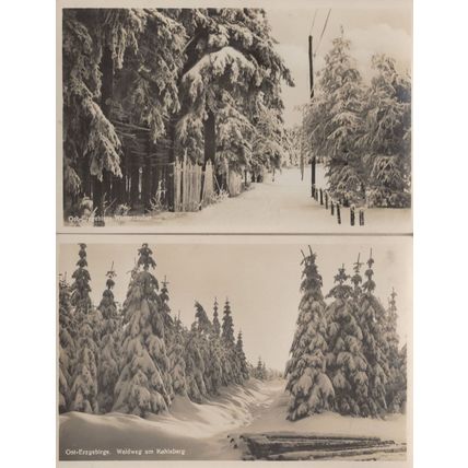 Erzgebirge Waldweg AM Kahleberg 2x German RPC Postcard s