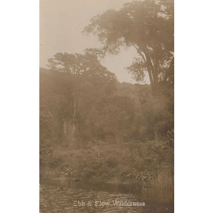 Ebb & Flow Wilderness South Africa Antique Real Photo Postcard