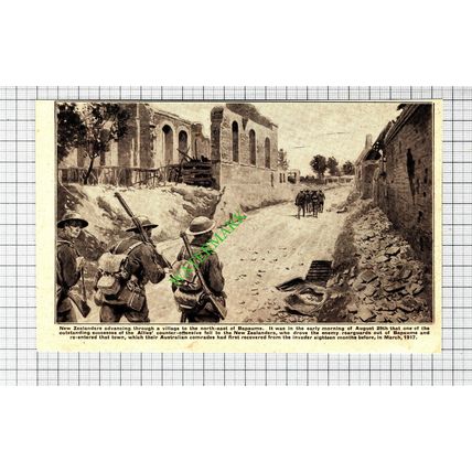 Near Bapaume New Zealanders World War One WW1 - 1918 Cutting