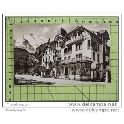 HOTEL ALPINA, INTERLAKEN, SWITZERLAND, Postcard