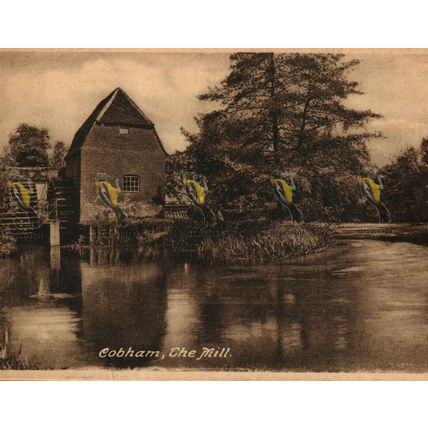 Cobham, The Mill, Surrey, 84174 Frith Postcard, 1950