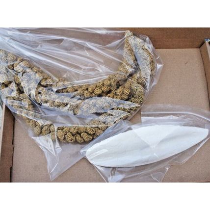 QUALITY BUSHY MILLETS SPRAYS IDEAL FOR CAGE, AVIARY & WILD BIRDS, GERBILS & MICE
