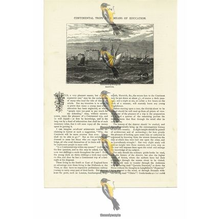 Harwich Harbour, Esssex, England, Book Illustration (Print), 1884