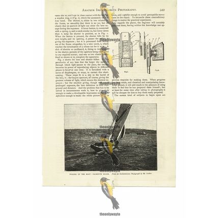 Boat In Falmouth Roads, From Instant Photo, Book Illustration (Print), 1884