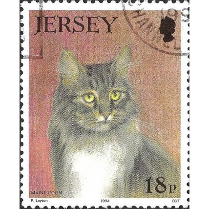 JERSEY, CAT, Maine-Coon, violet brown 1994, 18p