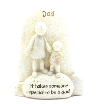 It Takes Someone Special To Be a Dad Pebbles Ornament/Figurine 10 CM Gift Home