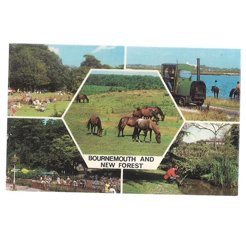 multiview, BOURNEMOUTH and NEW FOREST. unused vintage postcard Colourmaster =