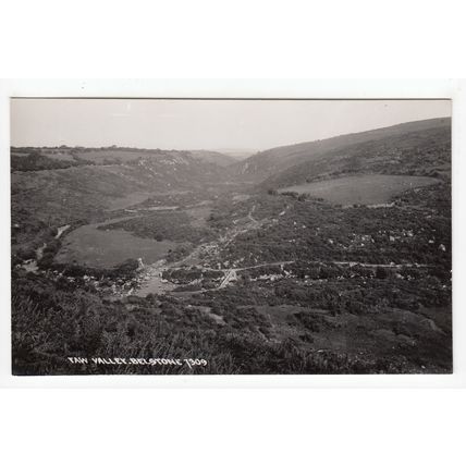 Taw Valley Belstone Postcard RP Devon Chapman & Son 1309