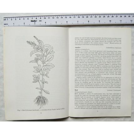 1980 Wisley Handbook 16 Culinary Herbs