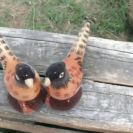 Pheasant Salt & Pepper Shakers - Ceramic - Hand Painted