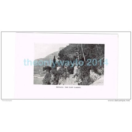 MONACO, THE CLIFF GARDEN, FRANCE, PHOTO BOOK ILLUSTRATION, 1921