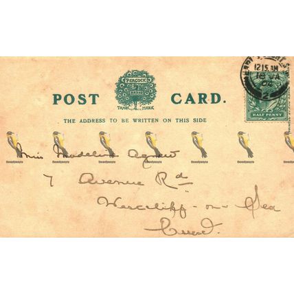 Canterbury Cathedral, Kent, Peacock Series Undivided Postcard, 1904