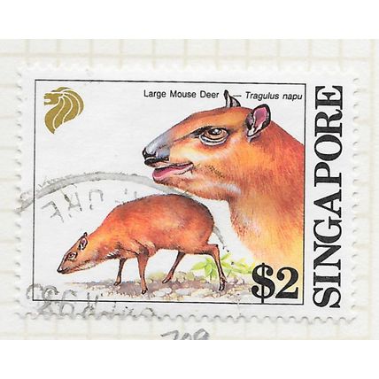 SINGAPORE 1993 MAMMALS LARGE MOUSE DEER $2 USED
