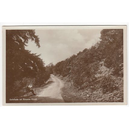 Quietude on Arnside Knott Postcard RP Cumbria