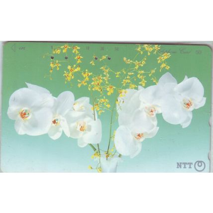 Flower Japan NTT Phone Card