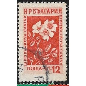 1953/1954 Michel 875 - fine used (o)