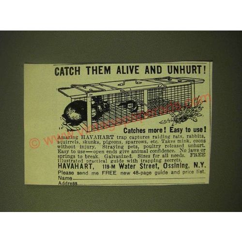 1966 Havahart Trap Ad - Catch them alive