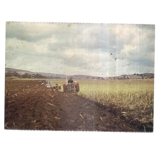 PLOUGHING AT WALDERTON, SUSSEX unused vintage postcard by W.I. Women's Institute