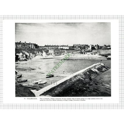 9319) Cullercoats Lisle / Royal Earsdon Sword Dancers - 1958 Book Print